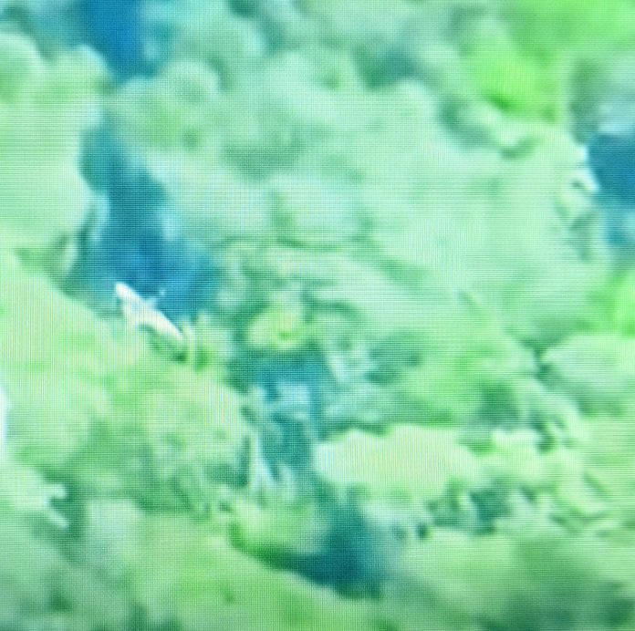 La búsqueda se extendió por varias horas debido a la densa vegetación y la topografía del terreno donde se registró el siniestro. Equipos de rescate terrestres, apoyados por sobrevuelos de reconocimiento, lograron dar con las coordenadas exactas de la aeronave