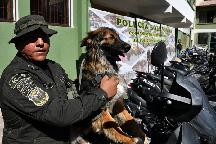 Un perro callejero de Cochabamba encontró hogar entre policías bolivianos